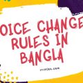 Voice Change Rules